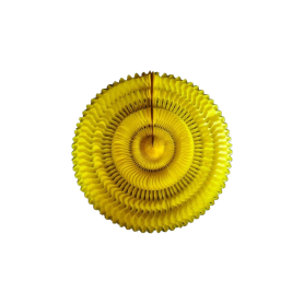 Espiral Girasol Fondo Entero Amarillo
