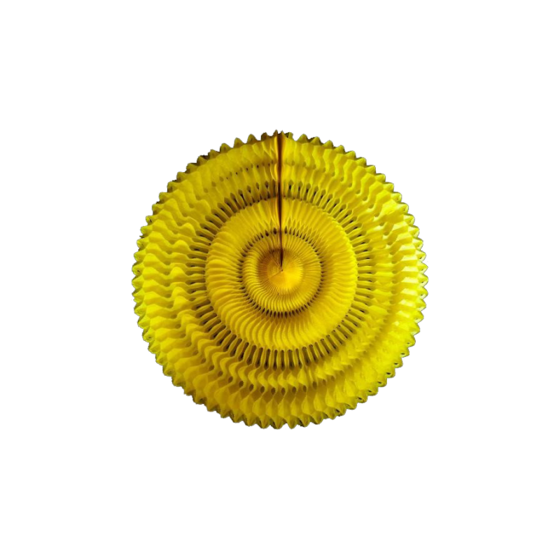 Espiral Girasol Fondo Entero Amarillo