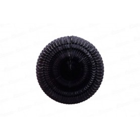 Espiral Girasol Negro